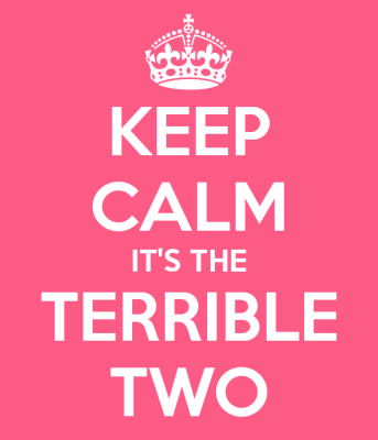 keep-calm-it-s-the-terrible-two-4